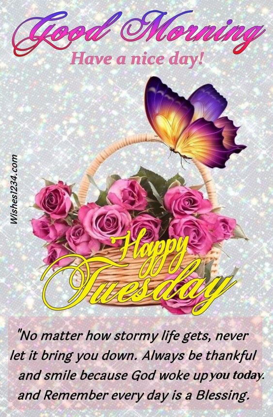 Good Morning Happy Tuesday Have A Nice Day