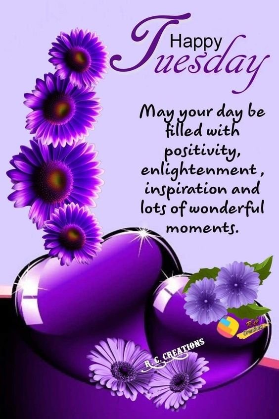 Good Morning Happy Tuesday Have A Wonderful Moments