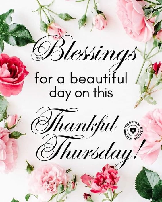 Good Morning Have A Thankful Thursday Pic