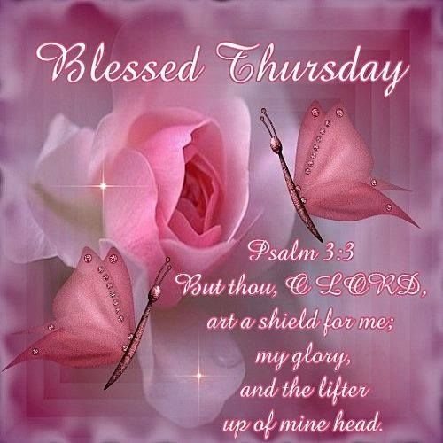 Good Morning Thusrday Have A Amazing Day