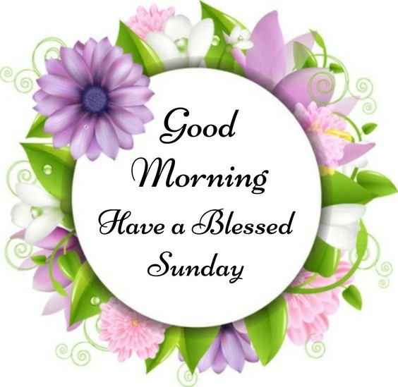 Good Morning Have A Blessed Sunday Image