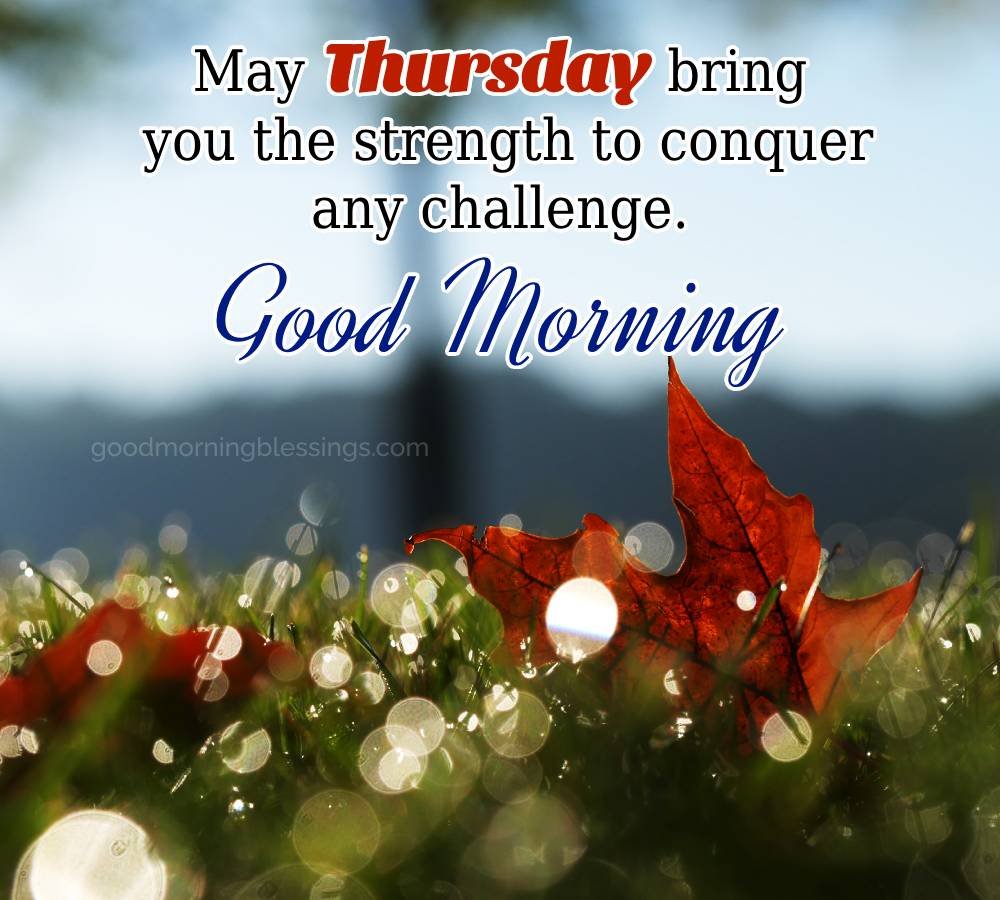 Good Morning May Thursday Bring You The Strength