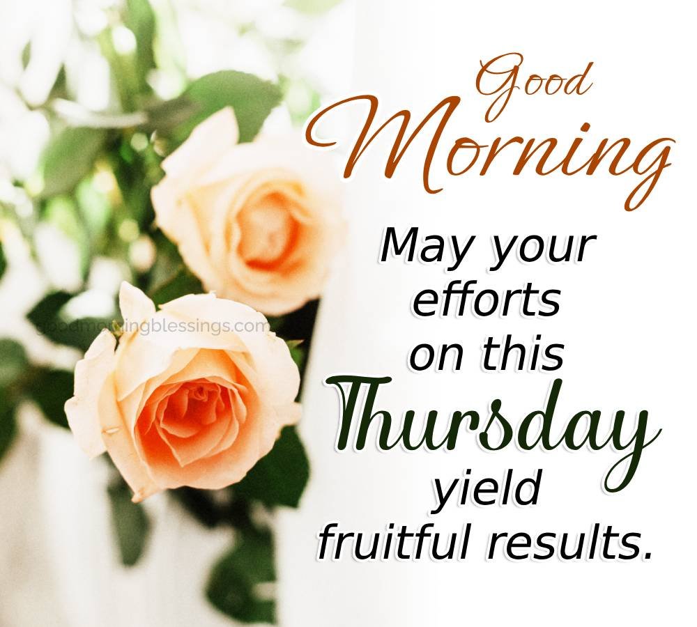 Good Morning May Your Fruitful Thursday
