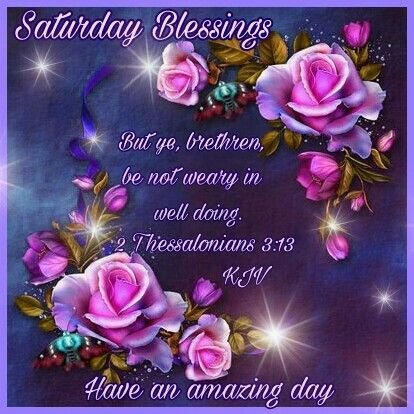 Good Morning Saturday Have An Amazing Day