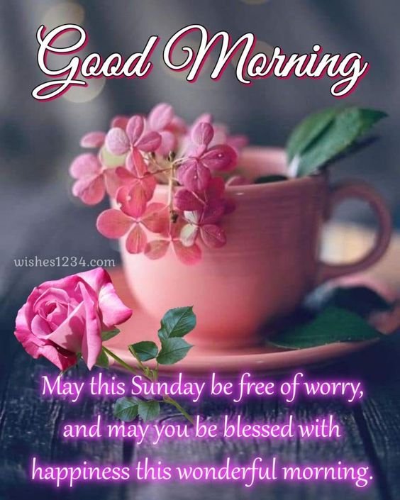 Good Morning Sunday May This Sunday Be Free Of Worry