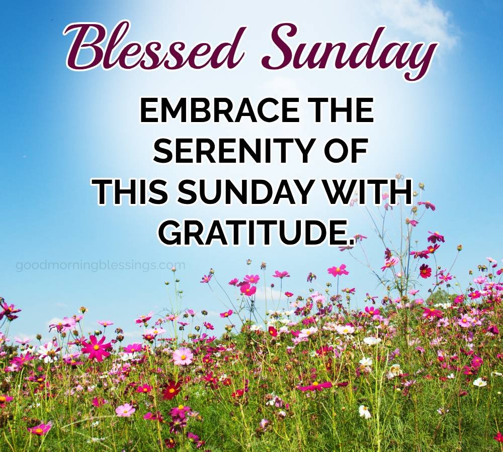 Good Morning This Sunday With Gratitude