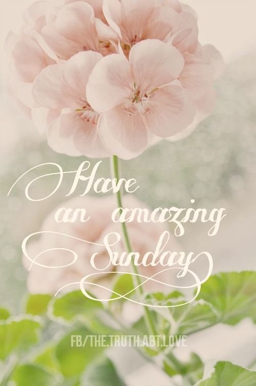 Have An Amazing Sunday Good Morning