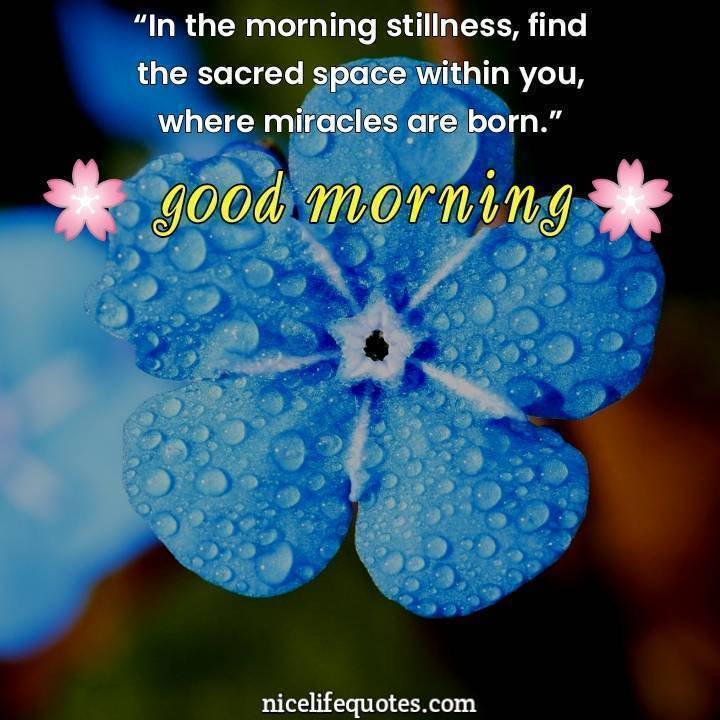 In The Morning Stillness