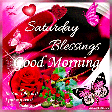 Pink Butterfly Good Morning Saturday Blessing Gif
